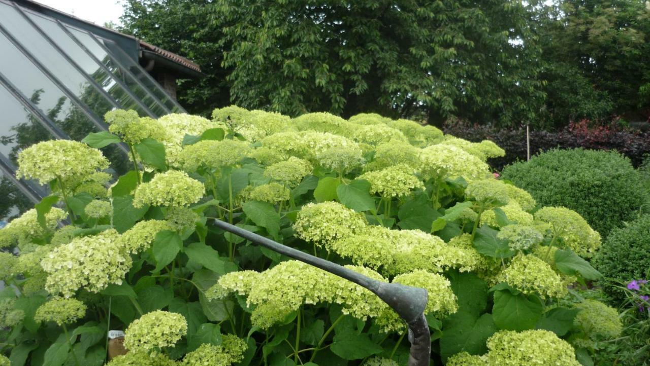 Вилла De Rosmolen Ertvelde Экстерьер фото